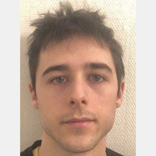 Maxime Guyon De Chemilly